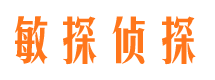 秦安市侦探公司